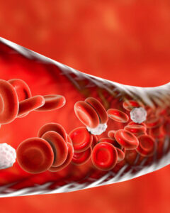 Illustration of Blood Cells in Vein