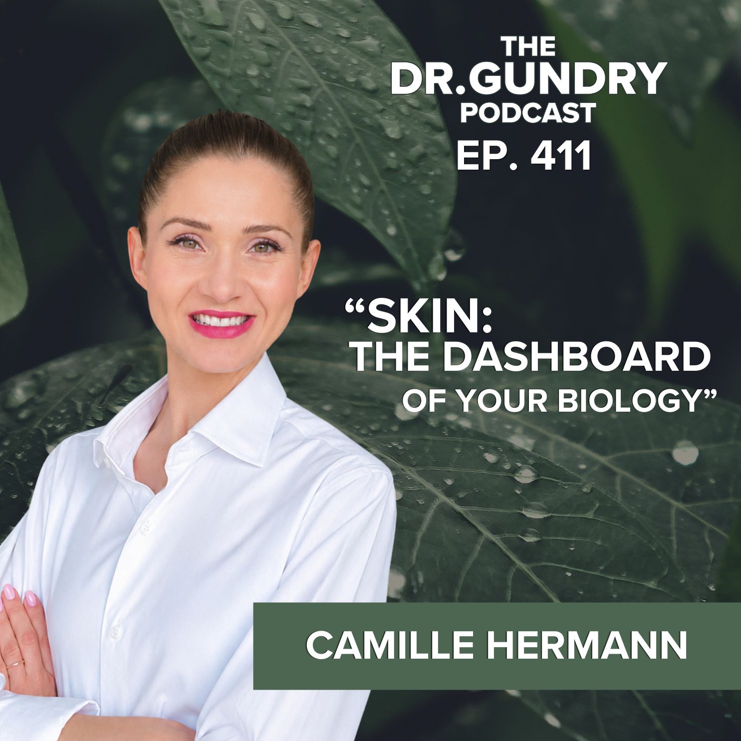 Dr. Steven Gundry's podcast The Dr. Gundry Podcast